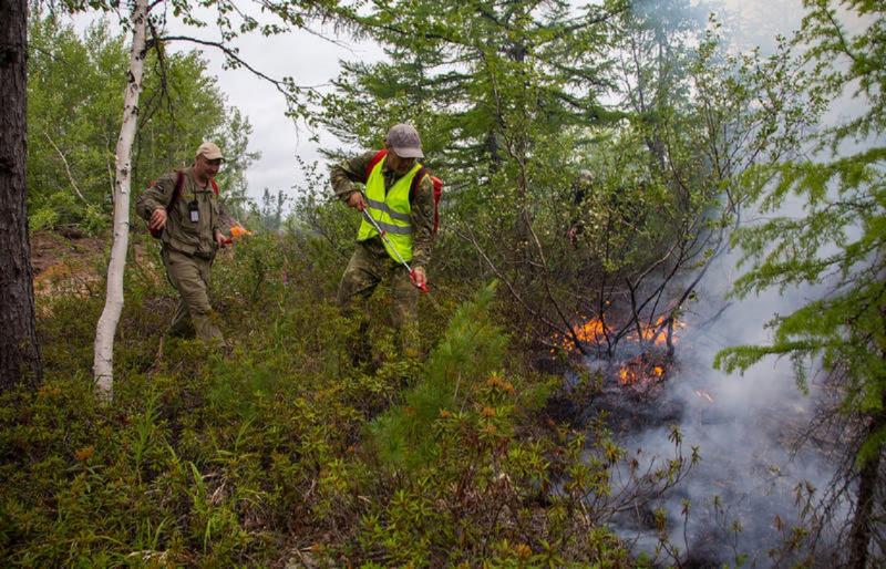 На Сахалине объявили начало пожароопасного сезона