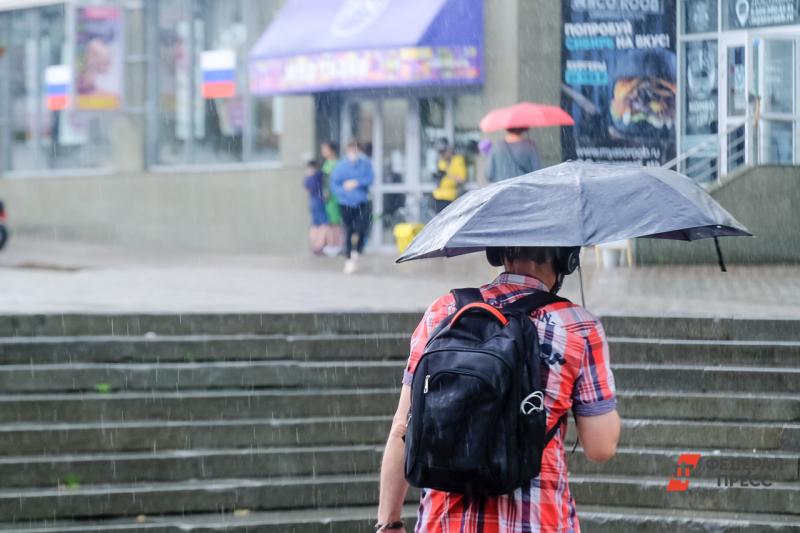 Синоптики назвали самый дождливый день в начале мая