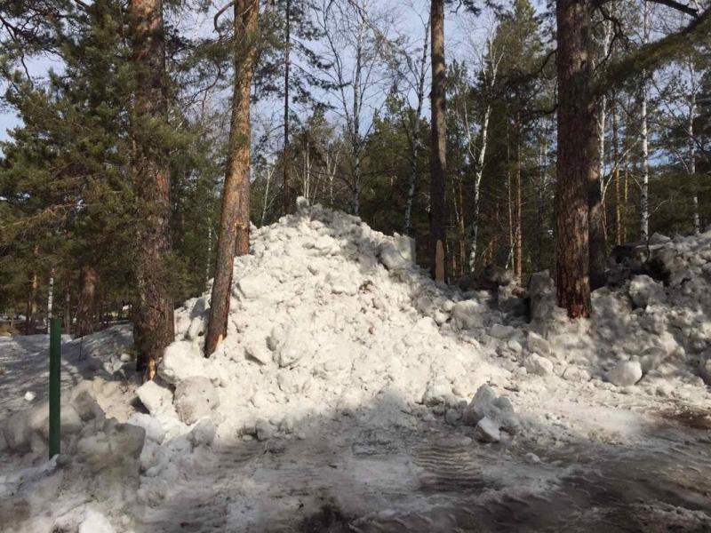 Вывоз грязного снега в бор Челябинска продолжается