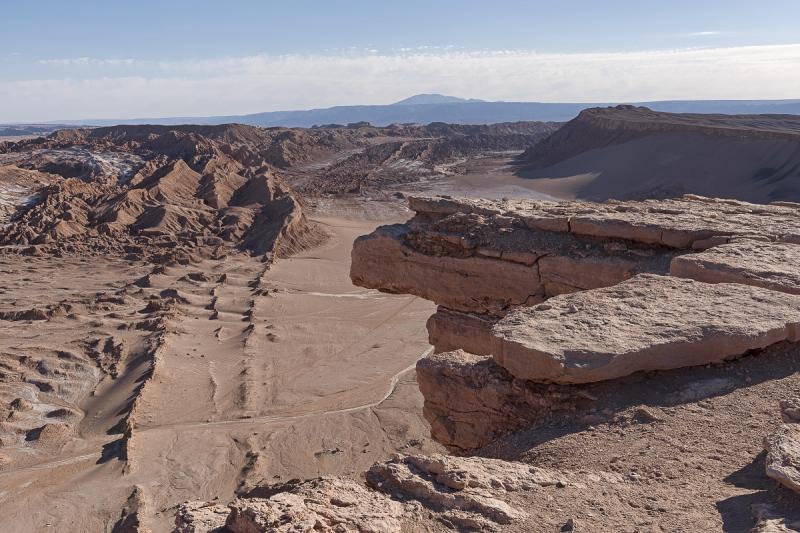 Миллионы лет назад территория пустыни Атакама пылала растительной жизнью