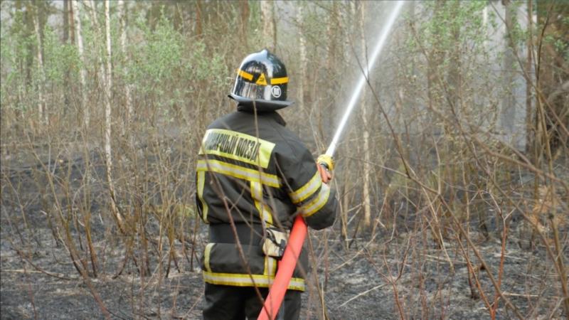 В Свердловской области тушат 9 лесных пожаров