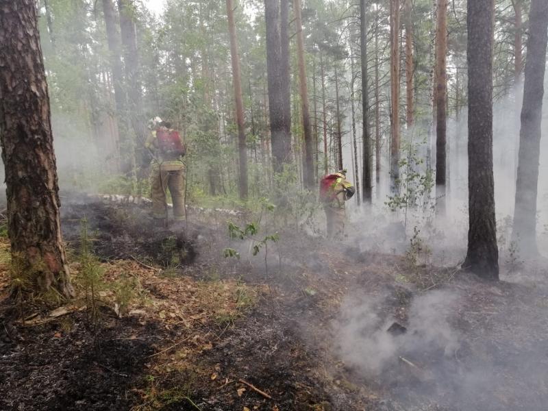 Пожар действует в районе поселка Полевой