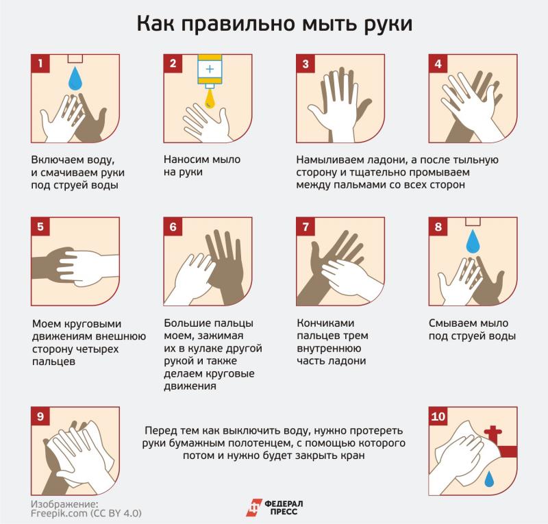 Как правильно мыть руки: инструкция от Роспотребнадзора | Москва |  ФедералПресс
