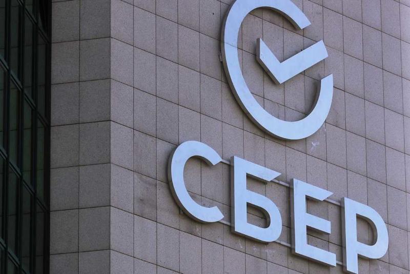 Для озеленения города используют хвойные породы