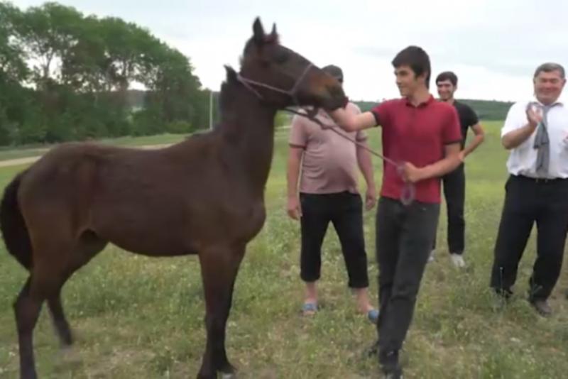 Путин подарил коня школьнику из Дагестана