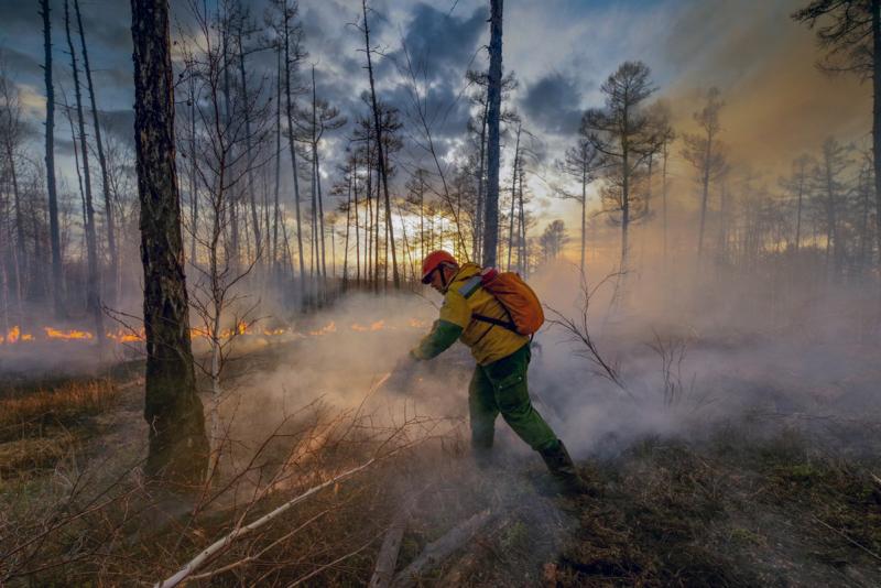 На Среднем Урале зафиксированы 4 лесных пожара