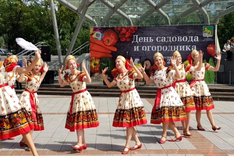 Крупные массовые мероприятия во Владивостоке - под запретом