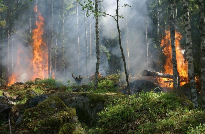 Продолжает действовать пожар площадью 32 тысячи гектаров в Катангском районе