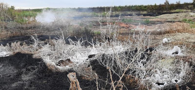 Общественники обнаружили провалы на месте эндогенного пожара под Челябинском