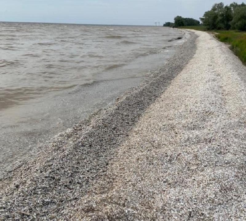 Цимлянское водохранилище