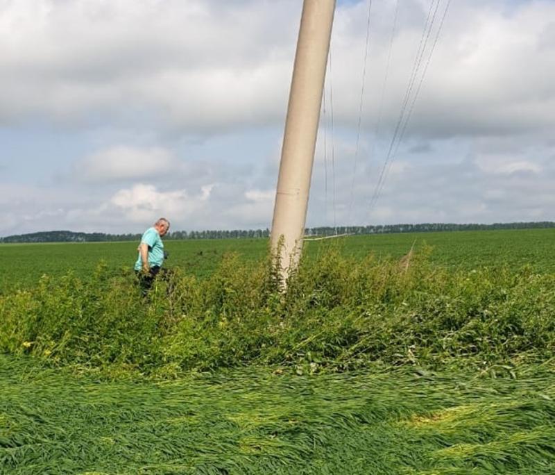 Электроснабжение в красноярских поселках восстановят через два дня