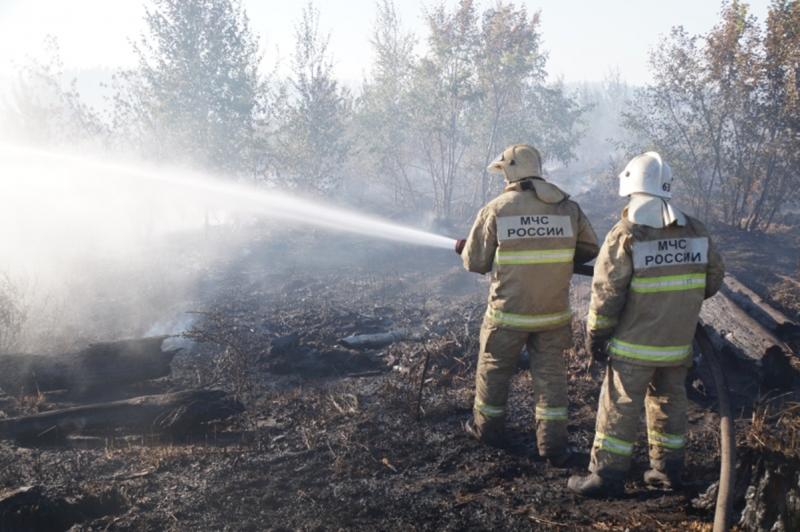 В Самарской области быстро распространяется лесной пожар