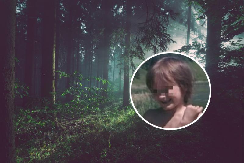 4-летний мальчик с аутизмом сбежал из дома в лес в Ворсме