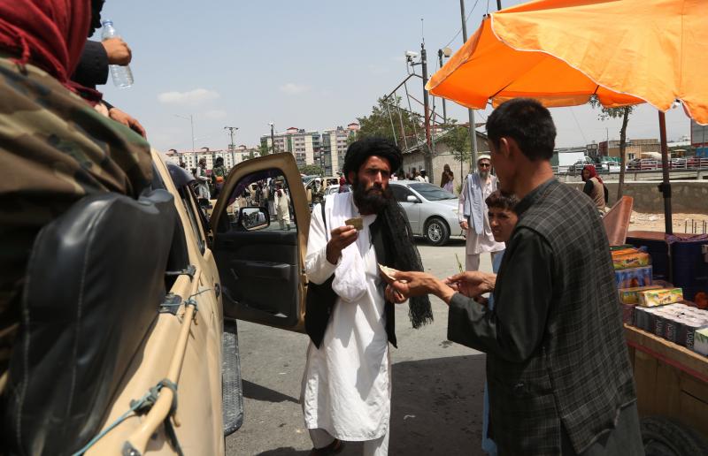 Талибы* пообещали превратить Афганистан в страну без наркотиков
