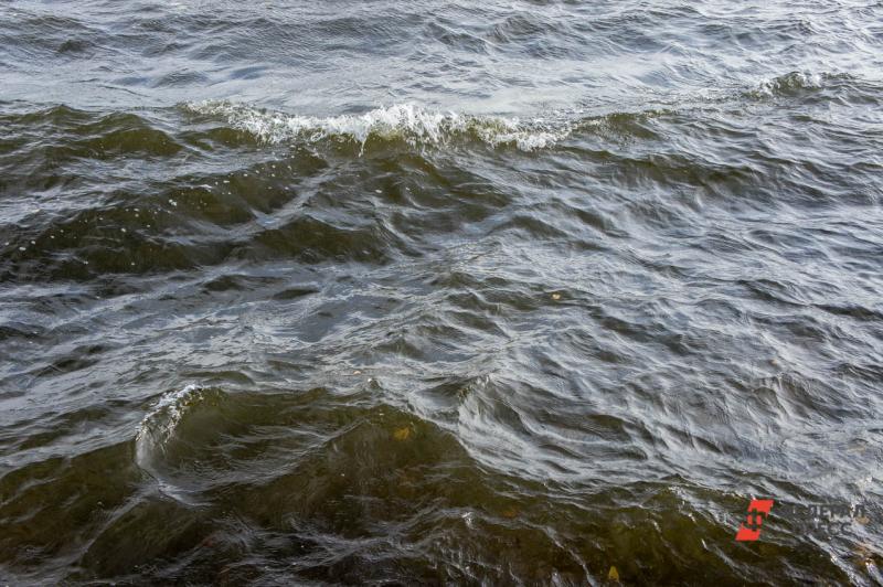 В реке Шугуровка в пригороде Уфы произошел массовый мор рыбы