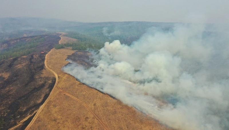 За последние сутки в республике зафиксировали 10 лесных пожаров
