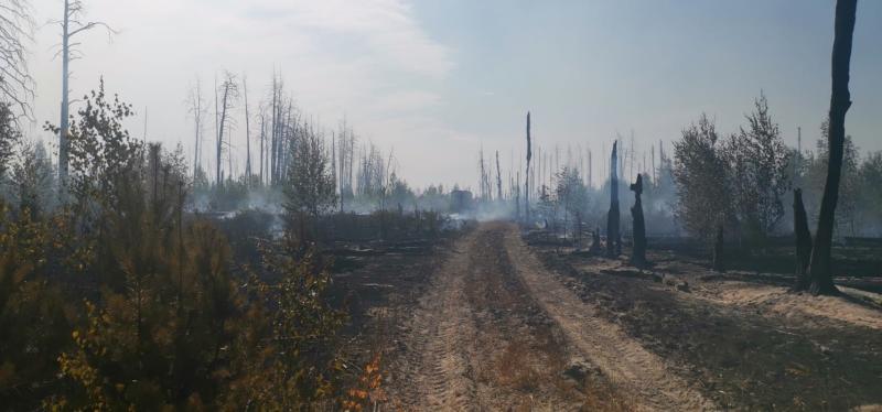 Крупный пожар в Мордовии тушат специалисты из двух регионов