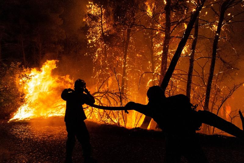 Лесные пожары в Башкирии могут вызвать проблемы для экологии всего ПФО