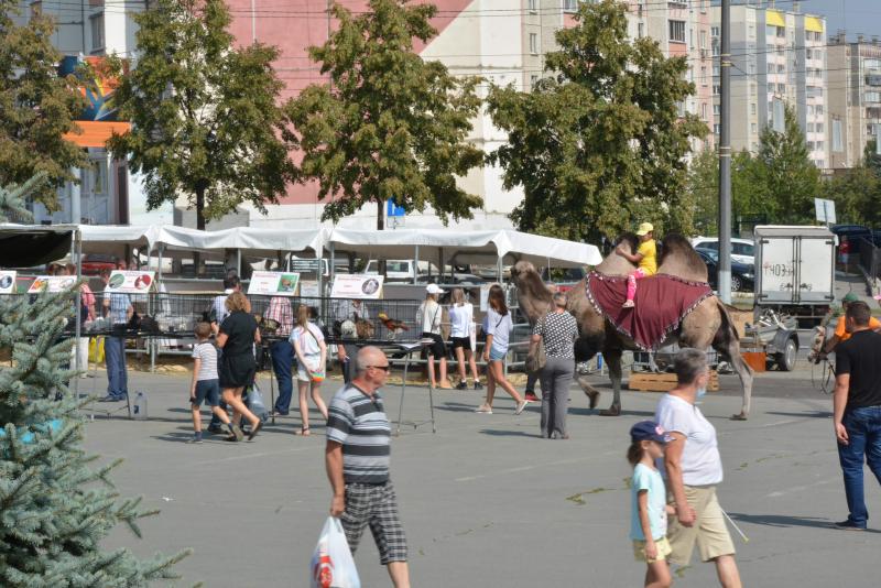 На ярмарке традиционно был символ Челябинска
