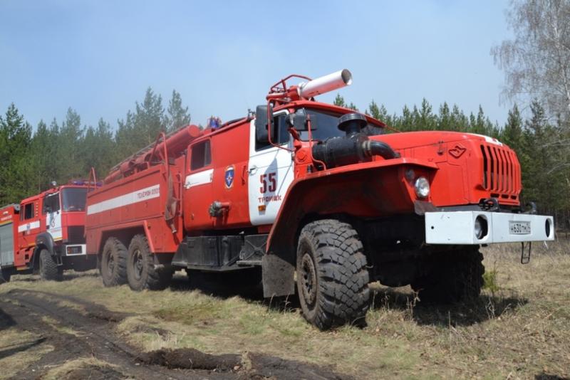 В одном из районов Челябинской области бушует лесной пожар
