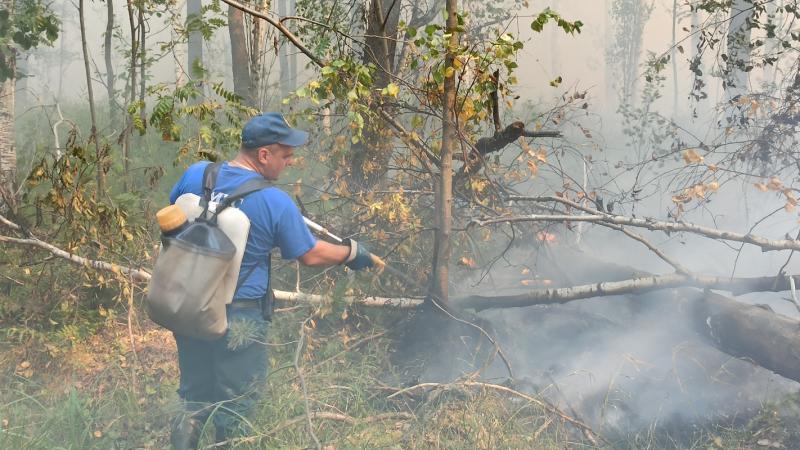 Лесные пожары в Свердловской области выжигают все большую территорию