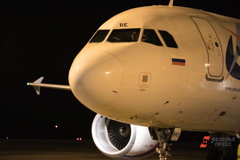 В Челябинске второй раз за неделю самолет столкнулся с птицей