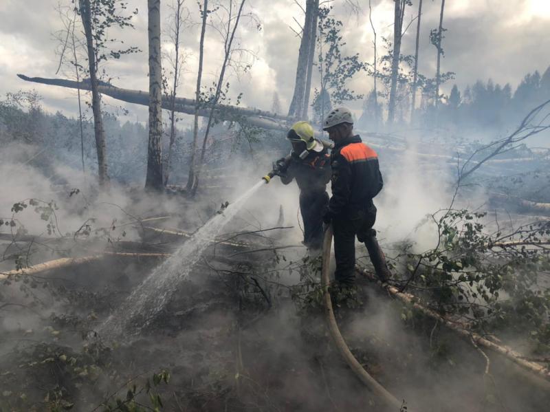 Лес в районе Хомутовки горел больше четырех суток