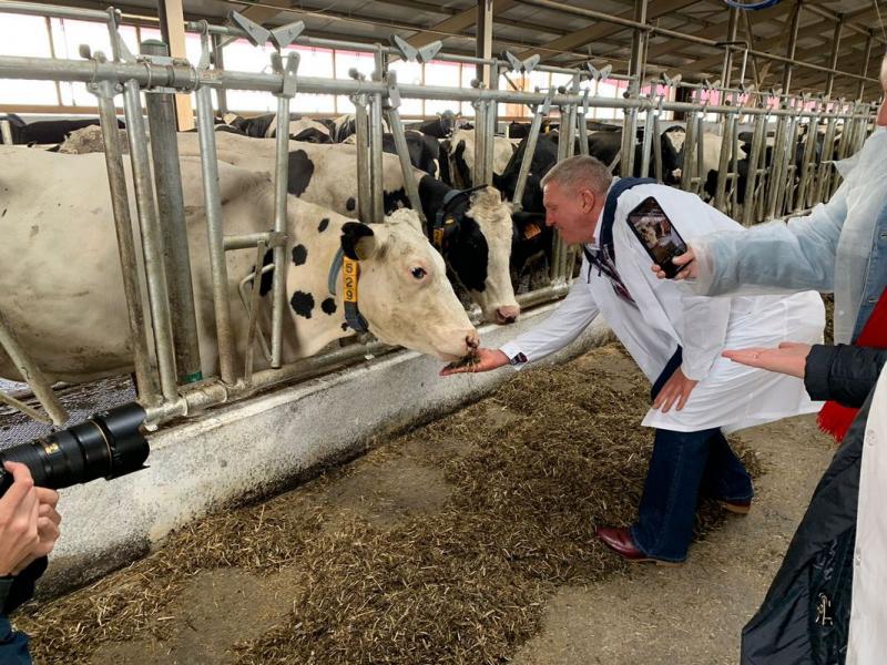 В Сажино открыли молочно-товарную ферму на 1 800 голов