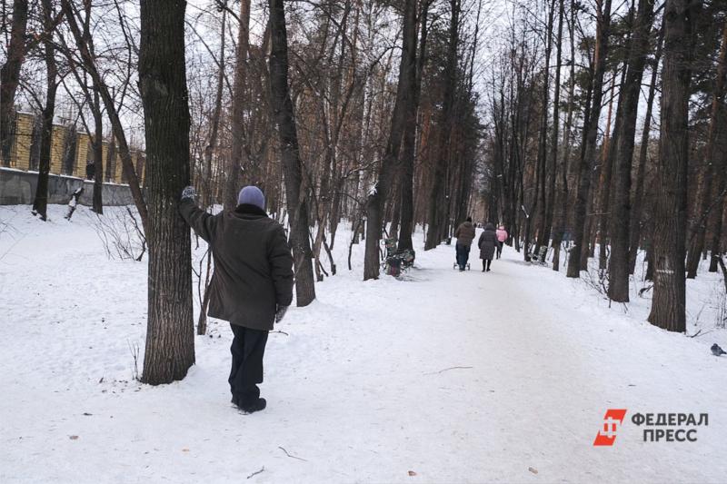 Метеорологи спрогнозировали, какой будет зима в этом году