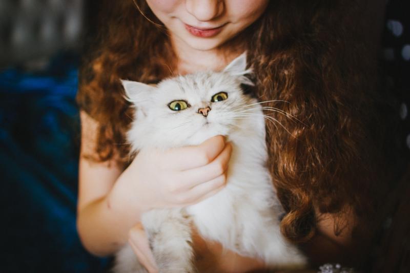 девушка и кот