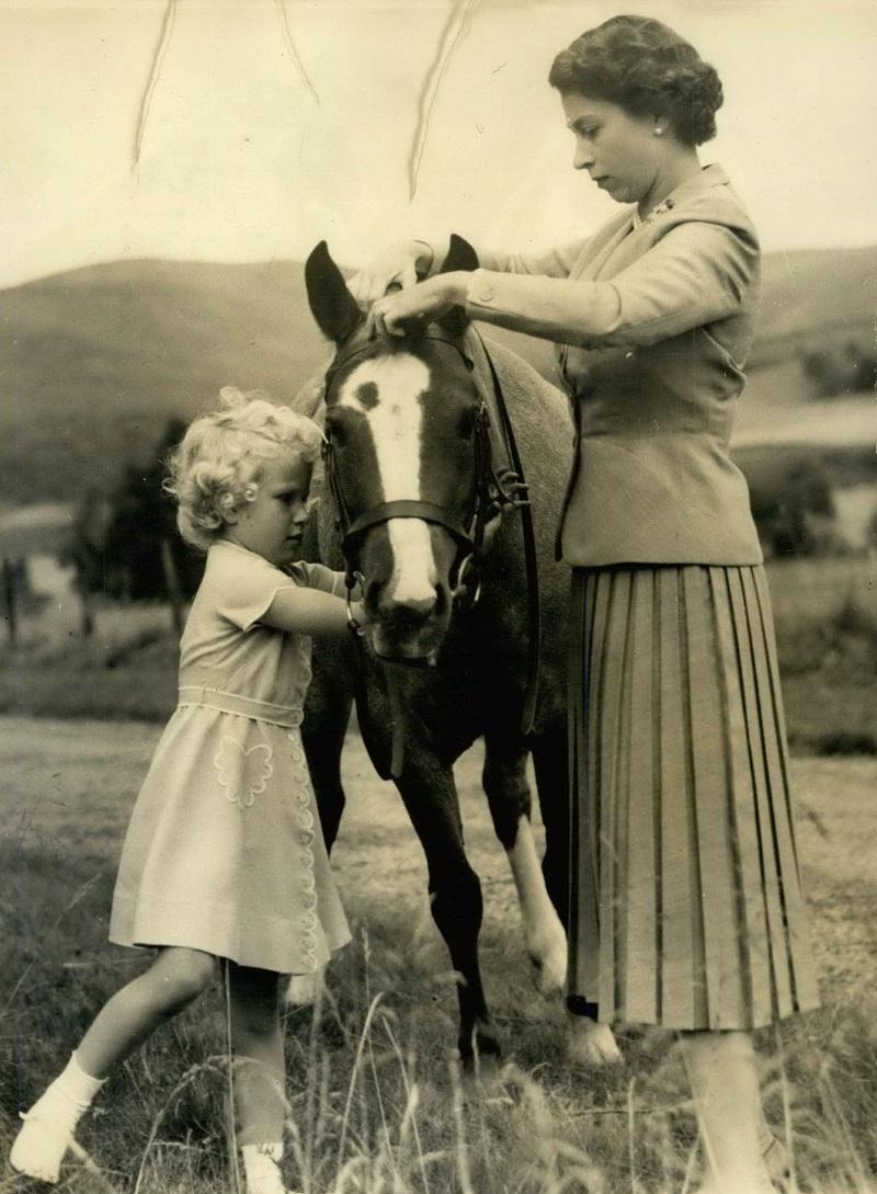 Елизавета и Анна разделяют любовь к лошадям