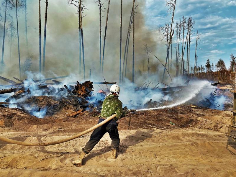Как в Поволжье борются с лесными пожарами в регионах