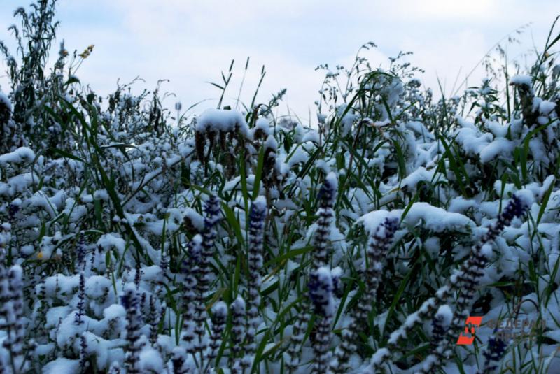В Челябинской области ожидаются грозы и мокрый снег