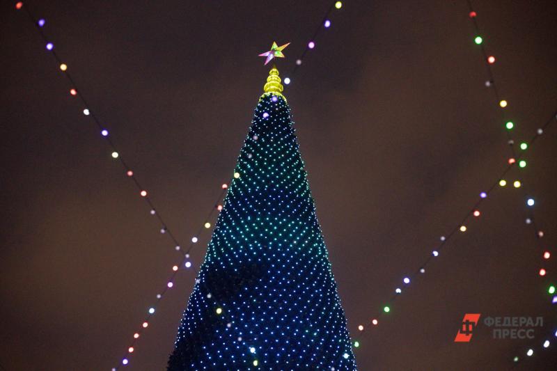 В центре Екатеринбурга вновь разместят елку-конус