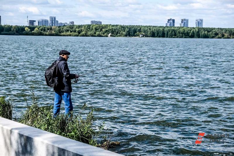 Почему обмелели озера в Челябинской области: «Всему виной цикличность и водозабор»