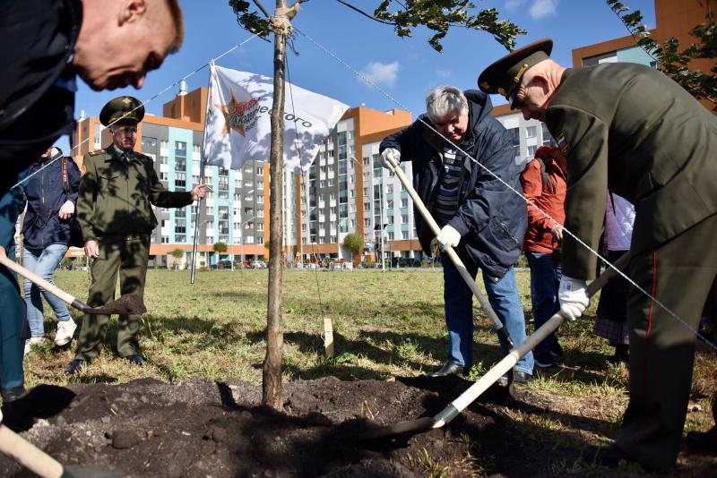 К юбилею города хотят высадить 3000 деревьев