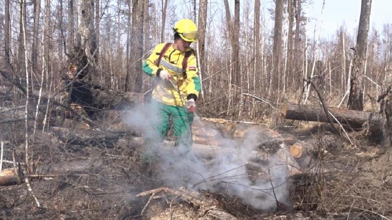 Пожарные продолжают тушить торфяник вблизи Екатеринбурга