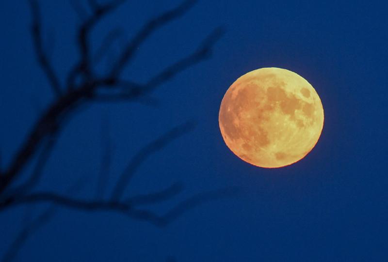 Ночью 19 ноября лунный диск почти полностью скроется в тени Земли