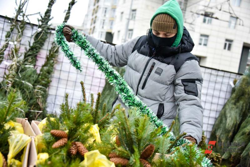 Челябинские активисты пожаловались на незаконные елочные базары