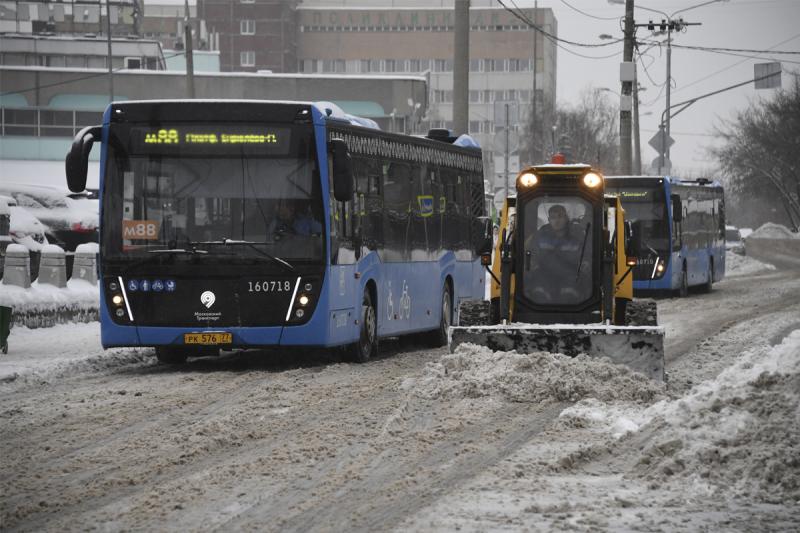 Автобусы