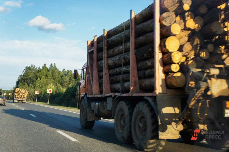 За два года за границу незаконно отправили древесины почти на миллиард рублей