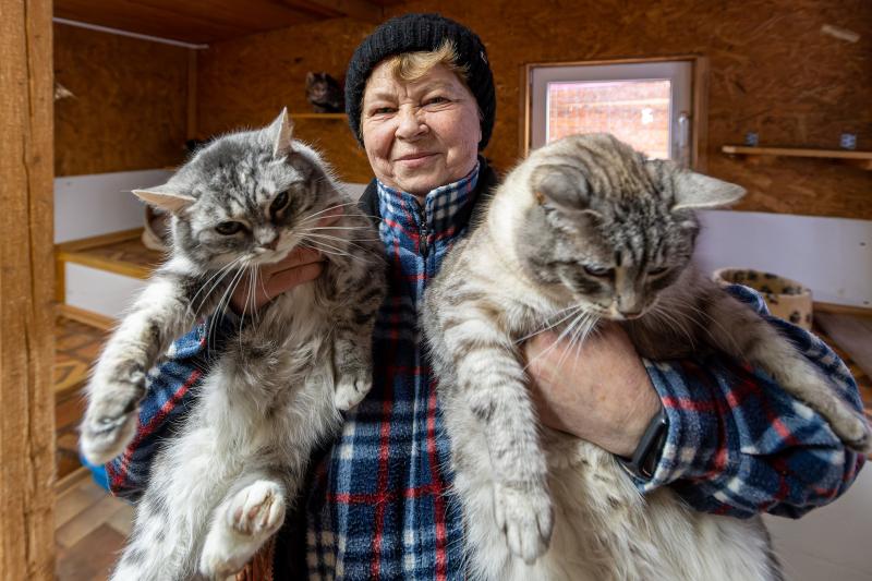 женщина с котами