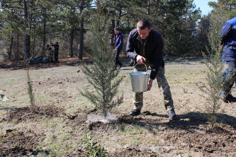 Первые деревья «Сада памяти – 2022» высадят в Севастополе