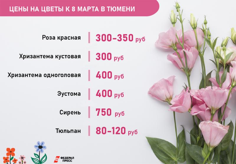 цены на цветы