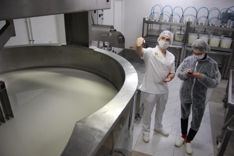 Производство сыра в Свердловской области