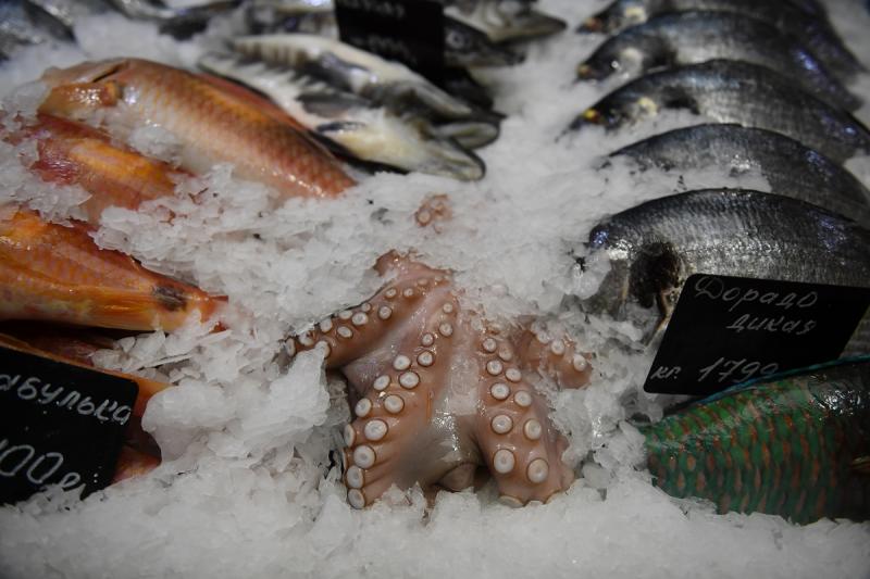 Проект рыбного рынка во Владивостоке согласовали