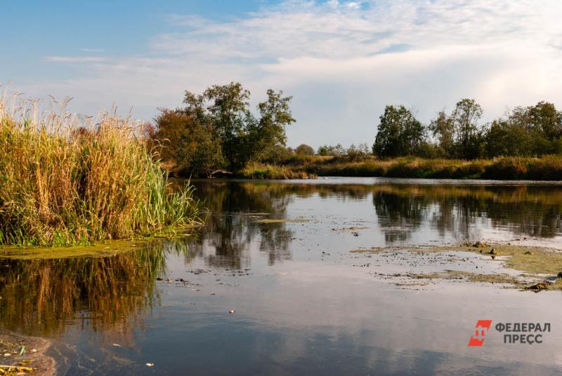 В Новгородской области создадут семь природных заказников для сохранения водно-болотных угодий
