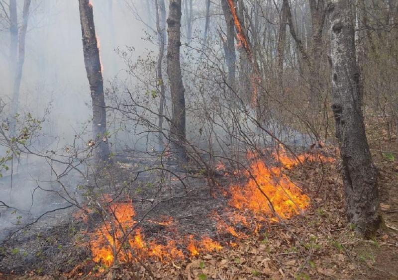 Мужчина погиб во время тушения лесного пожара