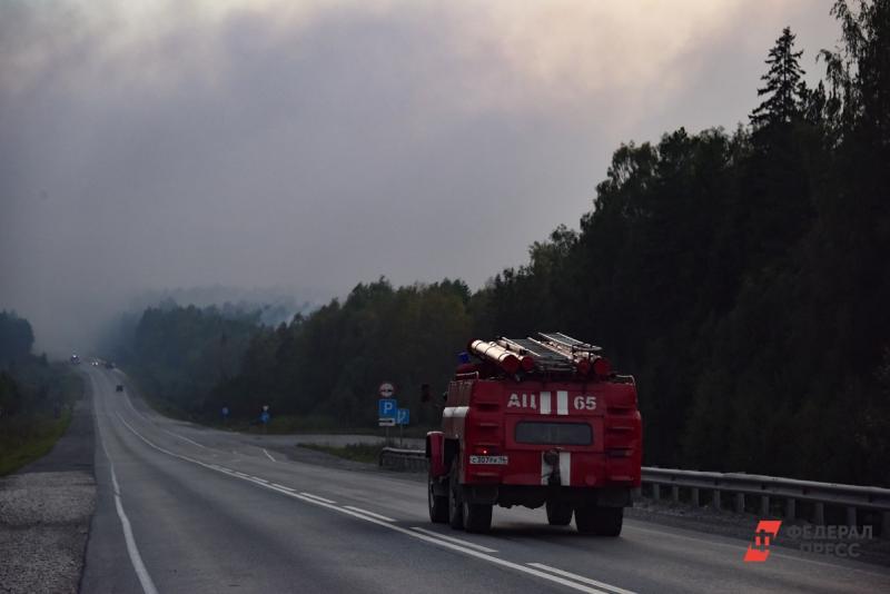 Лесные пожары в Приморье охватили более 58 тысяч гектаров