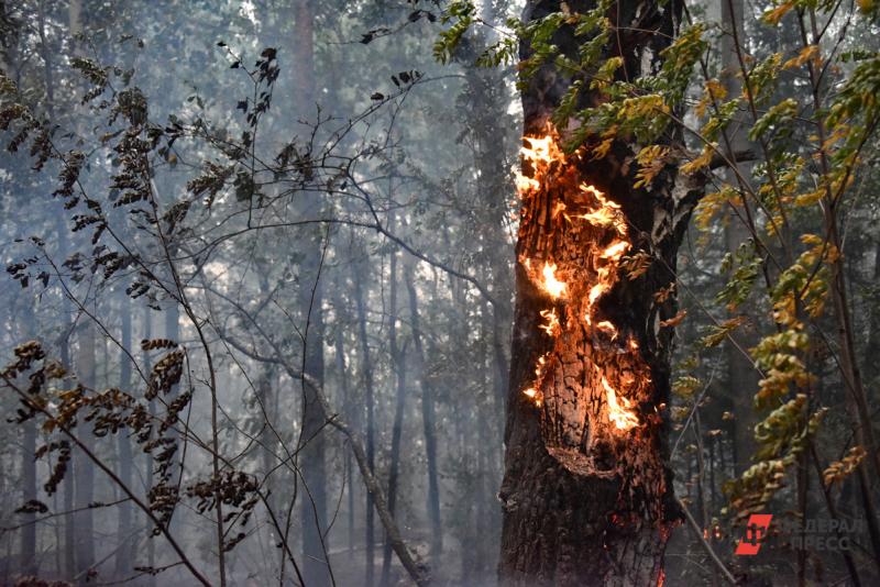 В Иркутской области горит 17745 гектаров леса